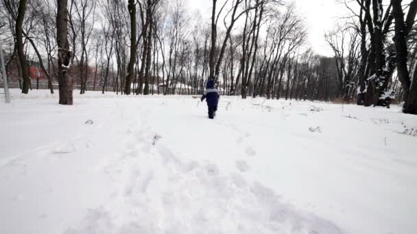 Criança alegre brincando na neve — Vídeo de Stock