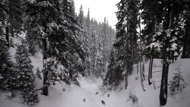 Χειμώνα. το ορεινό τοπίο. — Αρχείο Βίντεο