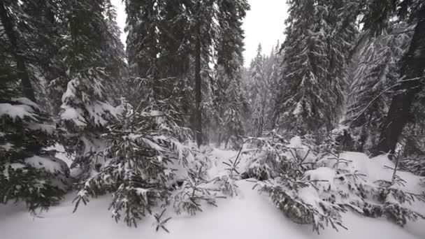 Vinter. bergslandskap. — Stockvideo