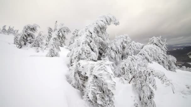 L'hiver. Le paysage montagneux .