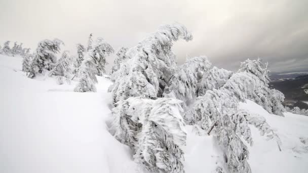 El invierno. El paisaje de montaña . — Vídeo de stock