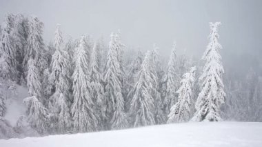 Kış. dağ manzarası.