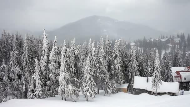 El invierno. El paisaje de montaña . — Vídeos de Stock