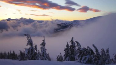 Sunrise kışın Karpat Dağları, Dragobrat, Ukrayna. HD