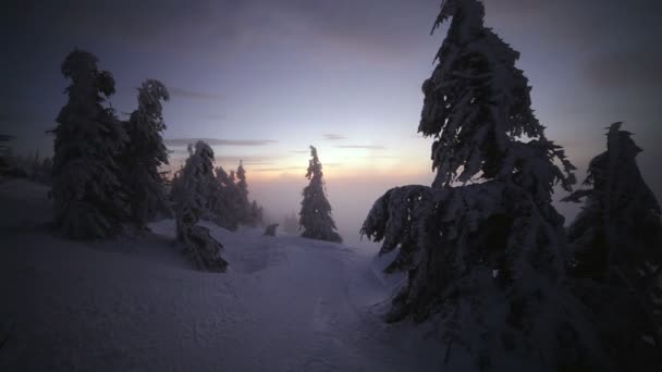 Soluppgång i vinter Karpaterna, Dragobrat, Ukraina. HD — Stockvideo