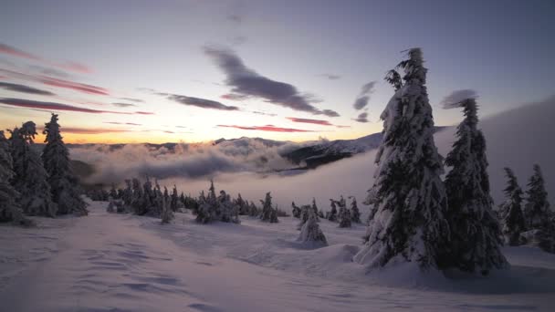 Răsărit de soare în munții Carpați de iarnă, Dragobrat, Ucraina. HD — Videoclip de stoc