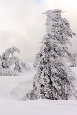 Kötü hava dağlarda. Kış manzarası. Fırtına bulutları ile bulutlu akşam. Karpatlar, Ukrayna, Europe