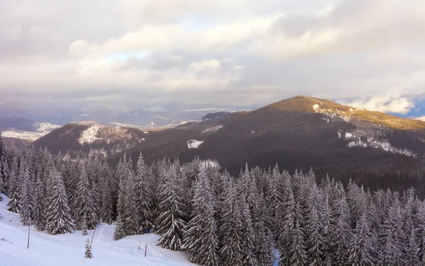 Bad weather in the mountains. Winter landscape. Cloudy evening with storm clouds. Carpathians, Ukraine, Europe — Stock Photo, Image