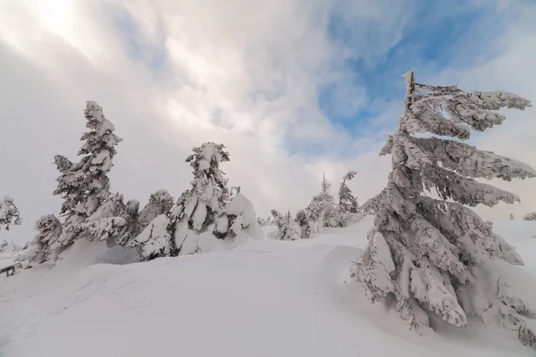 Brutto tempo in montagna. Paesaggio invernale. Serata nuvolosa con nuvole di tempesta. Carpazi, Ucraina, Europa — Foto Stock