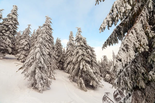 雪山。在冬天的雪下的山脉 — 图库照片