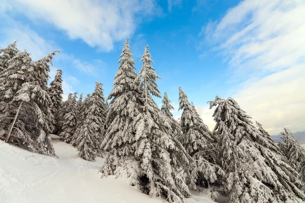 雪山。在冬天的雪下的山脉 — 图库照片