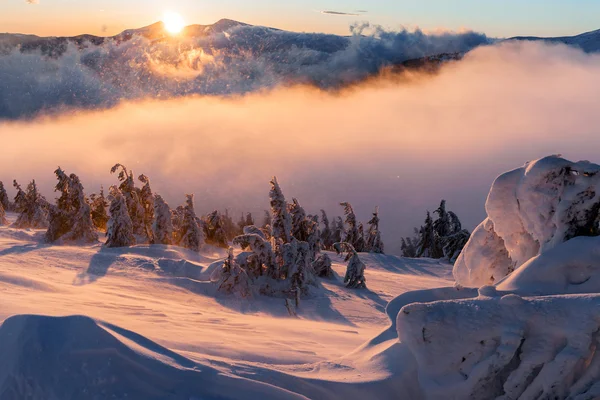 Kış manzarası. Dağ güneş doğuyor. Güzel dünya. Noel sahne. Karpatlar, Ukrayna, Europe — Stok fotoğraf