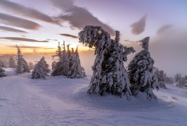 Kış manzarası. Dağ güneş doğuyor. Güzel dünya. Noel sahne. Karpatlar, Ukrayna, Europe