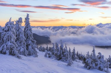 Kış manzarası. Dağ güneş doğuyor. Güzel dünya. Noel sahne. Karpatlar, Ukrayna, Europe