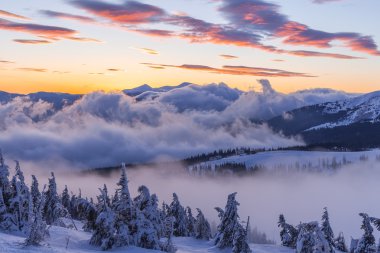 Kış manzarası. Dağ güneş doğuyor. Güzel dünya. Noel sahne. Karpatlar, Ukrayna, Europe