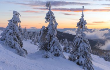 Kış manzarası. Dağ güneş doğuyor. Güzel dünya. Noel sahne. Karpatlar, Ukrayna, Europe