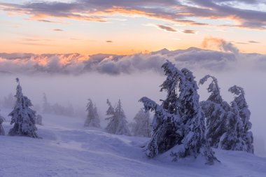 Kış manzarası. Dağ güneş doğuyor. Güzel dünya. Noel sahne. Karpatlar, Ukrayna, Europe