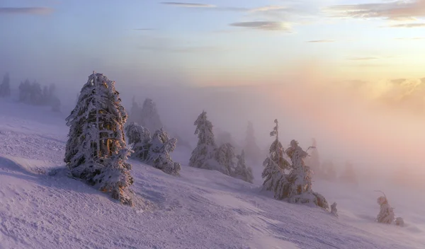 Winter landscape. Sunrise in the mountains. Beautiful World. Christmas scene. Carpathians, Ukraine, Europe — Stock Photo, Image
