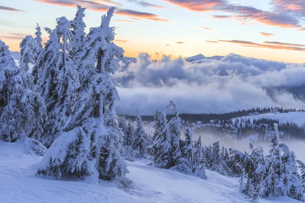 Paysage hivernal. Lever de soleil dans les montagnes. Un monde magnifique. Scène de Noël. Carpates, Ukraine, Europe — Photo