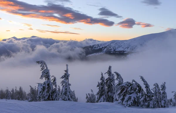 Paysage hivernal. Lever de soleil dans les montagnes. Un monde magnifique. Scène de Noël. Carpates, Ukraine, Europe — Photo