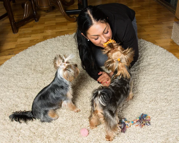 Wanita pemilik terrier yorkshire bermain di karpet dengan dia — Stok Foto