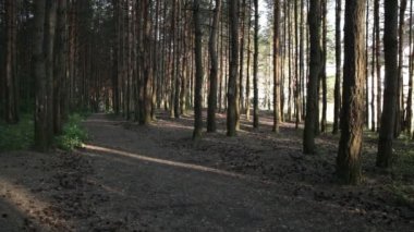 Kadın hızla Bisiklete binmek