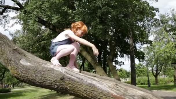 Little girl is climbing down a tree — Stock Video