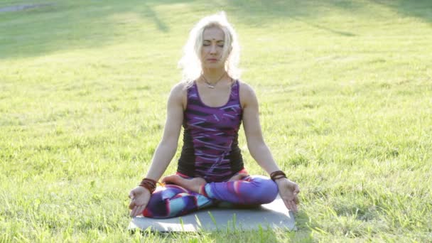 Frau macht Yoga in der Natur — Stockvideo
