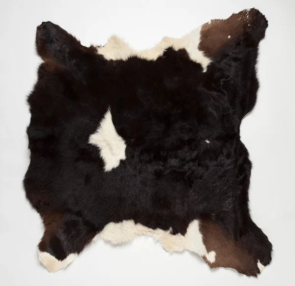Αγελάδα γούνα (δέρμα) — Φωτογραφία Αρχείου