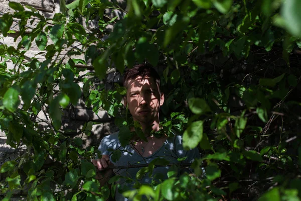 Homme caché dans les buissons verts — Photo