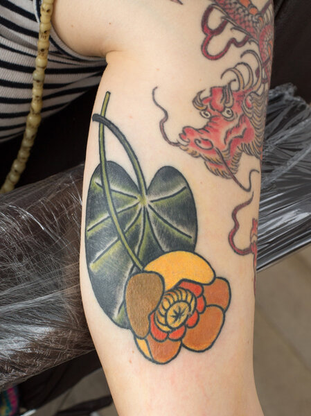 coloured  thrift-box flower tattoo on the arm