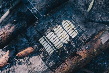 Ormanın içinde kızarmış kabak