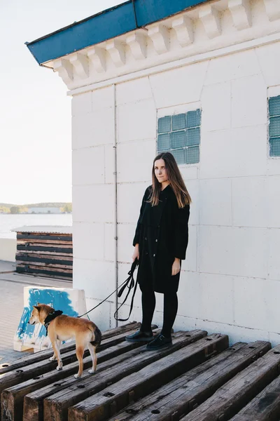 Flicka innehav hund på koppel — Stockfoto