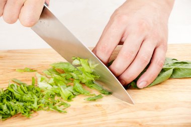 Marul ve roka Şef keser