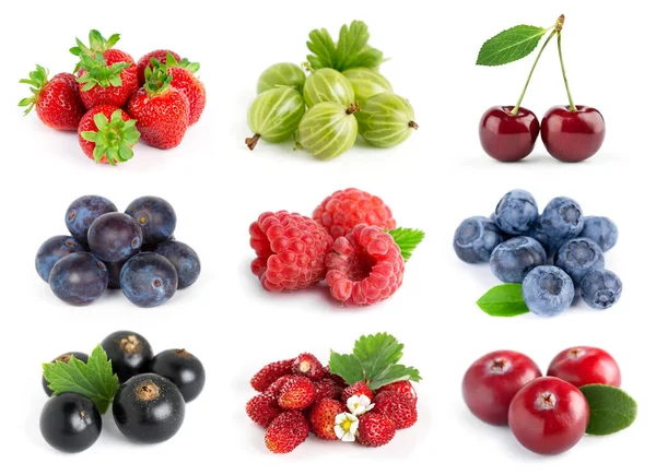 Fruits Collection Berries White Background Strawberry Blueberry Black Currant Gooseberry — Stock Photo, Image