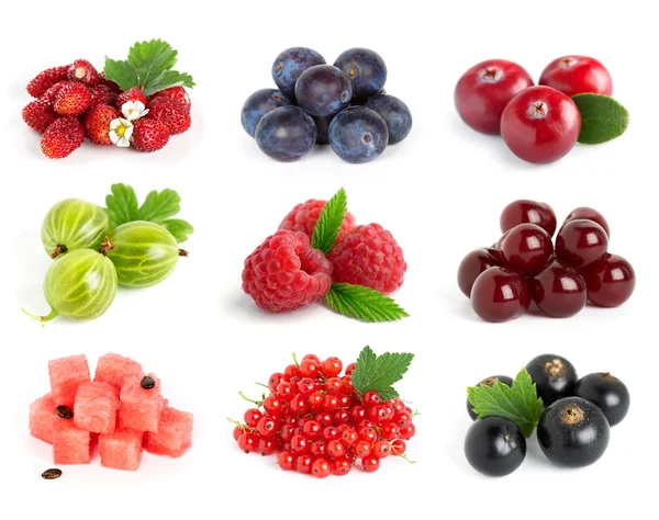 Collection of sweet berries — Stock Photo, Image