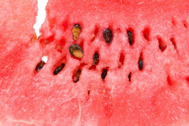 Tatlı karpuz arka plan