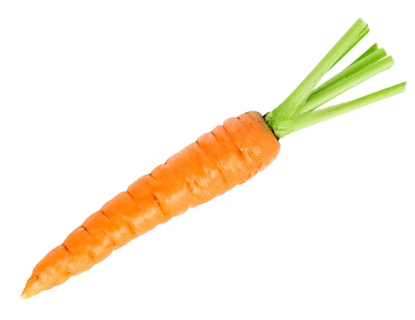 Fresh carrot — Stock Photo, Image