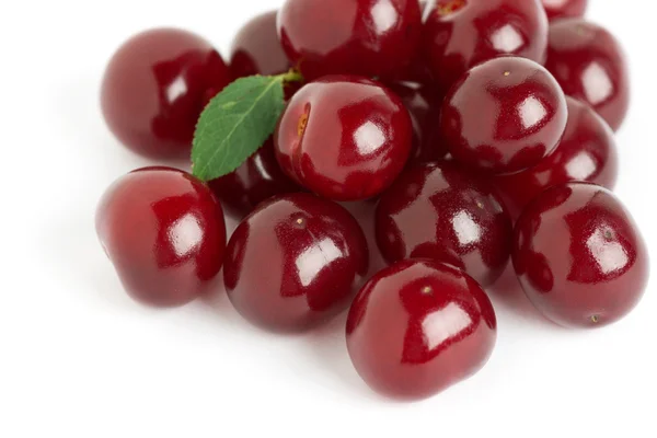 Cerezas maduras con hoja —  Fotos de Stock