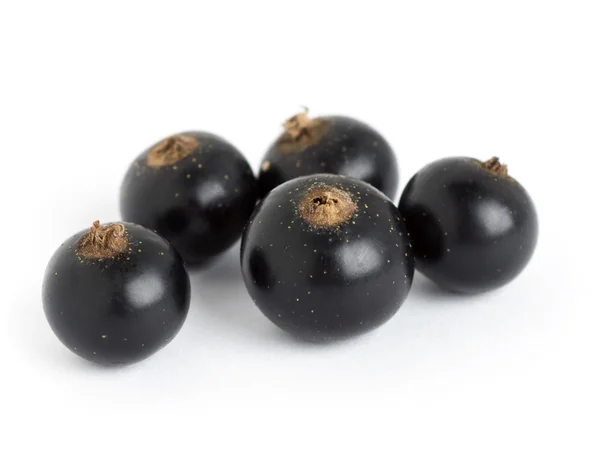 Black currants closeup — Stock Photo, Image