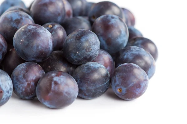 Fresh plums — Stock Photo, Image