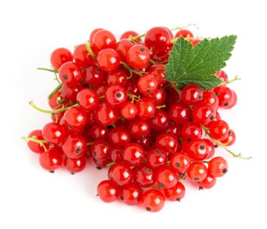 Kırmızı kuş üzümü