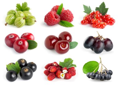 Sweet berries clipart