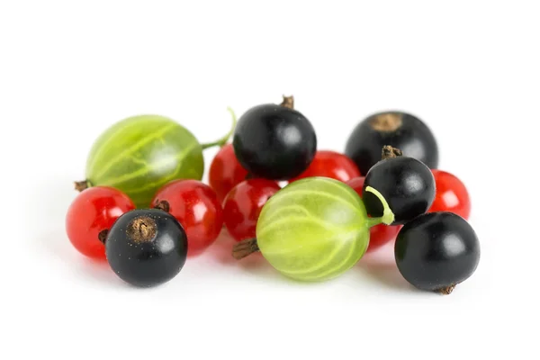 Fresh berries fruit — Stock Photo, Image