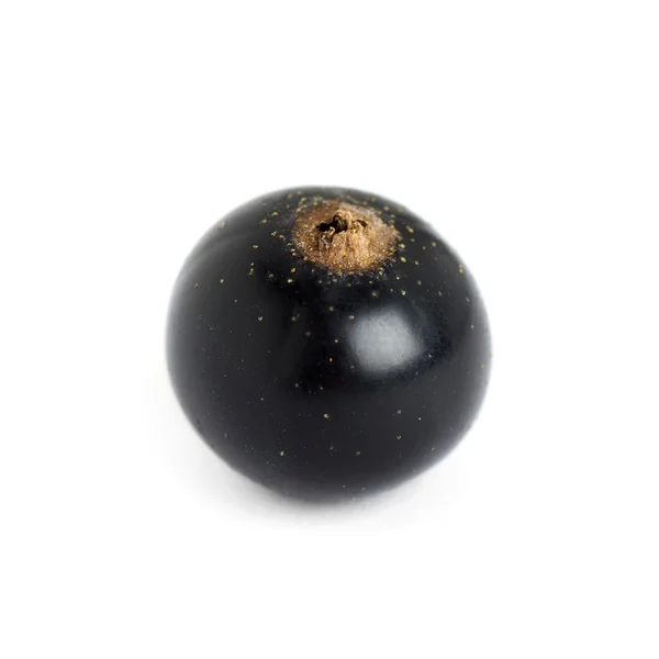 Чёрная смородина — стоковое фото