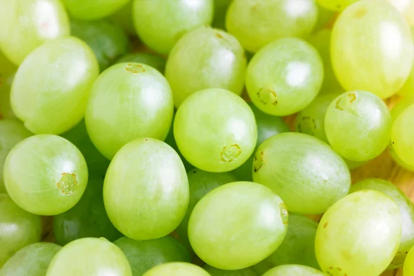 Sweet green grapes — Stock Photo, Image