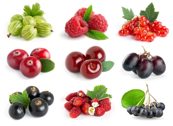 Süße Beeren — Stockfoto