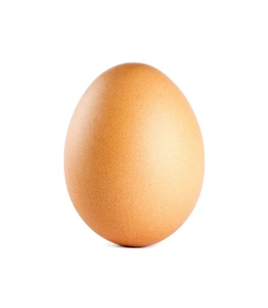 Closeup of egg — Stock Photo, Image