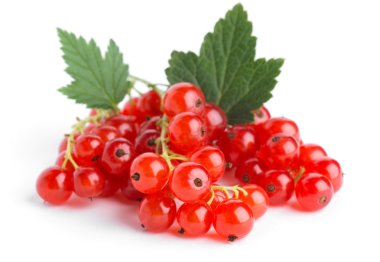 Kırmızı kuş üzümü