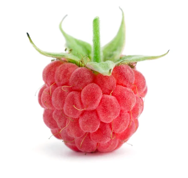 Sweet raspberry — Stock Photo, Image